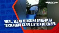 Viral, Sedan Nungging...