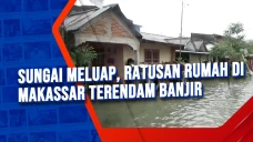 Sungai Meluap, Ratusan...
