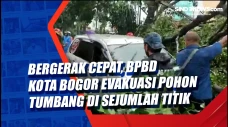 Bergerak Cepat, BPBD...
