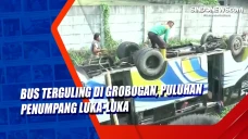 Bus Terguling di Grobogan,...