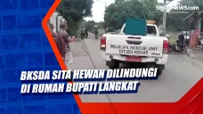 BKSDA Sita Hewan Dilindungi...