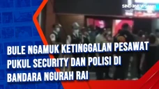 Bule Ngamuk Ketinggalan...