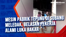 Mesin Pabrik Tepung...
