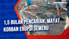 1,5 Bulan Pencarian,...