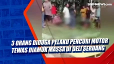 3 Orang Diduga Pelaku...