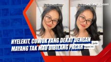 Nyelekit, Cowok yang...