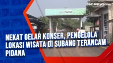 Nekat Gelar Konser,...
