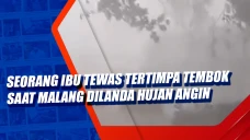 Seorang Ibu Tewas Tertimpa...