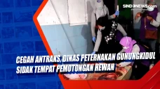 Cegah Antraks, Dinas...