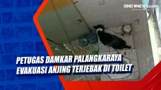 Petugas Damkar Palangkaraya...