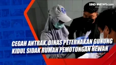 Cegah Antrak, Dinas...