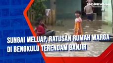 Sungai Meluap, Ratusan...