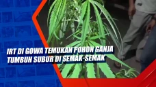 IRT di Gowa Temukan...