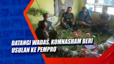 Datangi Wadas, Komnasham...