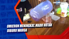 Omicron Meningkat, Madu...