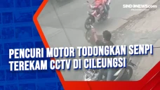 Pencuri Motor Todongkan...