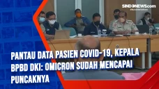 Pantau Data Pasien Covid-19,...