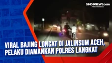 Viral Bajing Loncat...