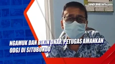 Ngamuk dan Bikin Onar,...