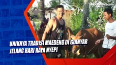 Uniknya Tradisi Maedeng...