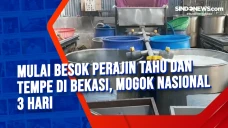 Mulai Besok Perajin...