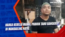Harga Kedelai Mahal,...