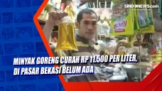 Minyak Goreng Curah...