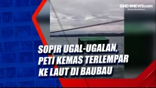 Sopir Ugal-ugalan, Peti...