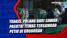Tragis, Pulang dari...