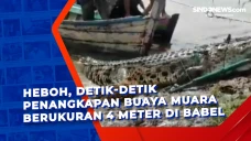 Heboh, Detik-Detik Penangkapan...