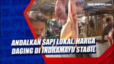 Andalkan Sapi Lokal,...