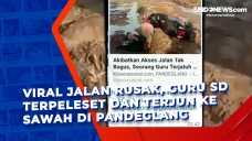 Viral Jalan Rusak, Guru...