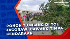 Pohon Tumbang di Tol...