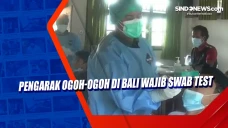 Pengarak Ogoh-ogoh di...
