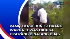 Pamit Berkebun, Seorang...