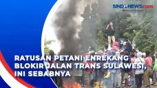 Ratusan Petani Enrekang...