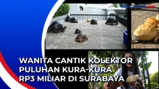 Wanita Cantik Kolektor...