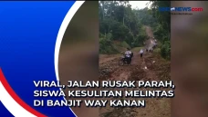 Viral, Jalan Rusak Parah,...