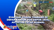 Evakuasi Pohon Tumbang...