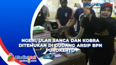 Ngeri, Ular Sanca dan...