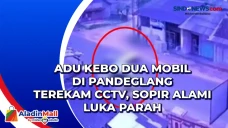 Adu Kebo Dua Mobil di...