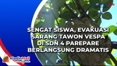 Evakuasi Sarang Tawon...