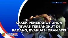 Kakek Penebang Pohon...