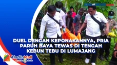 Duel dengan Keponakannya,...