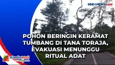 Pohon Beringin Keramat...