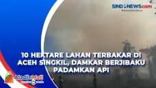 10 Hektare Lahan Terbakar...