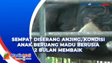 Sempat Diserang Anjing,...