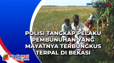 Polisi Tangkap Pelaku...