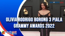 Olivia Rodrigo Borong...