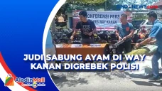 Judi Sabung Ayam di...